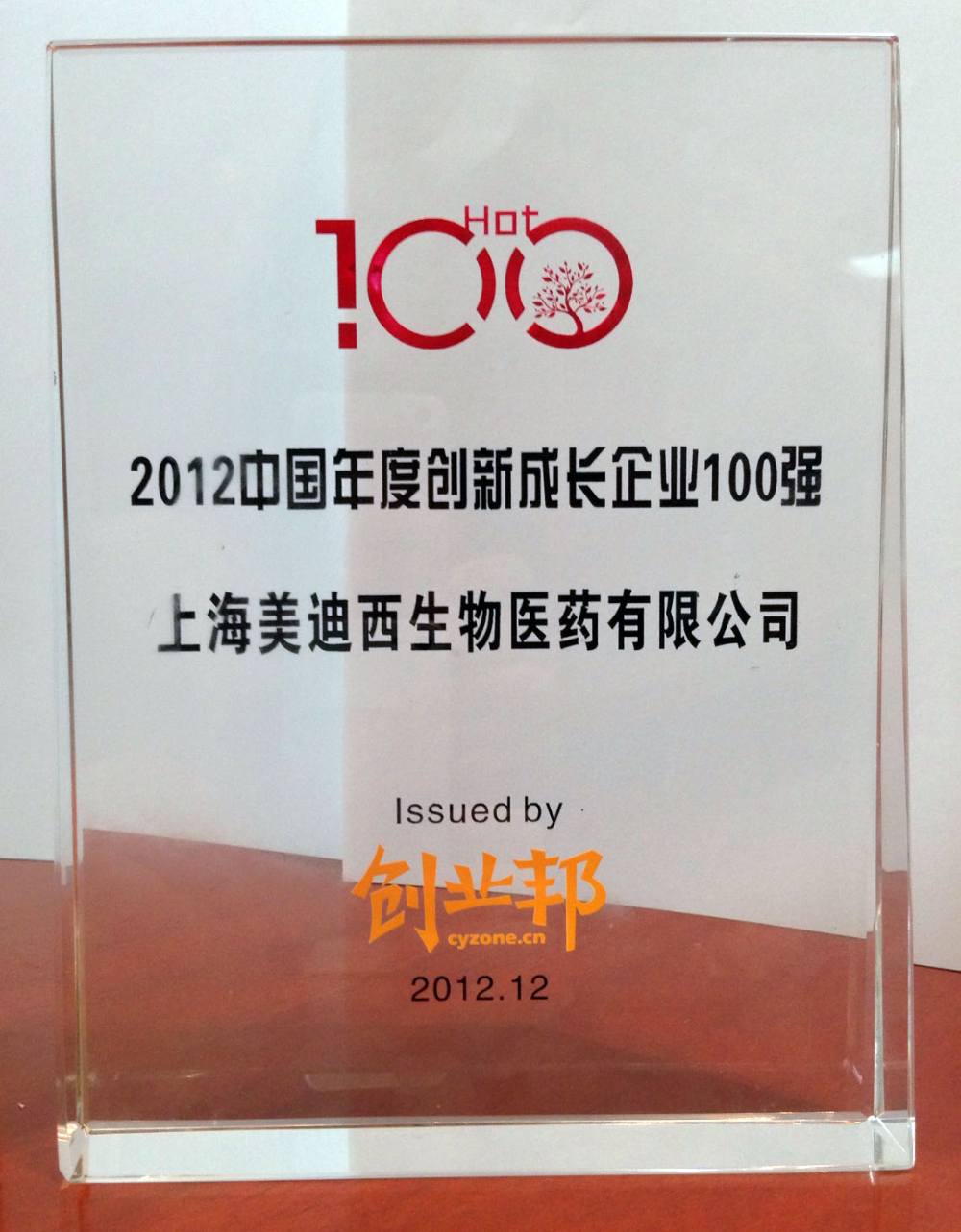 立异开展企业100强