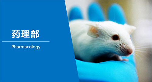 人生就是博官方网站临床前研究-药理部