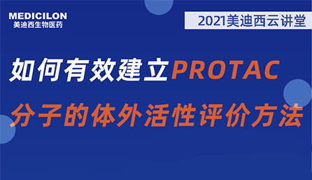 【云课堂】：：怎样有用建设PROTAC分子的体外活性评价要领？？