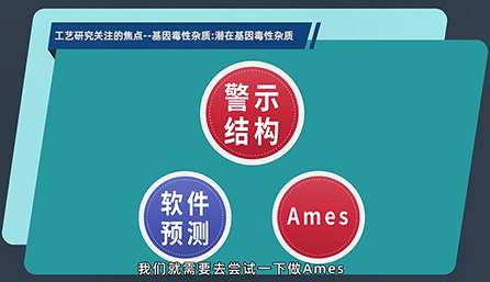 工艺研究关注的焦点：：：潜在的基因毒性杂质