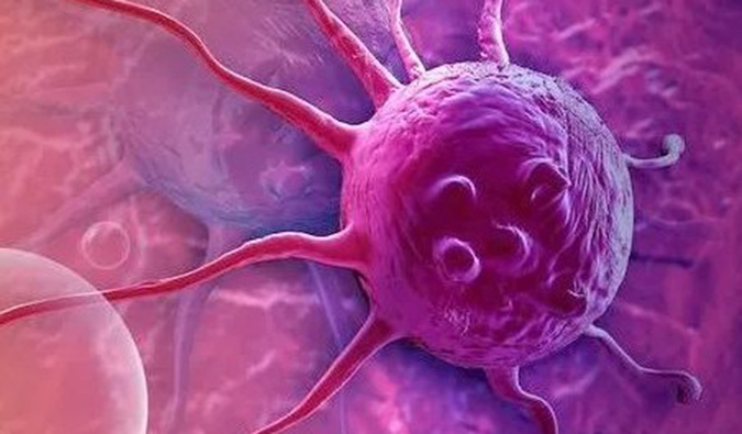 人生就是博官方网站助力中国原研高选择性EP4受体拮抗剂YY001获批临床