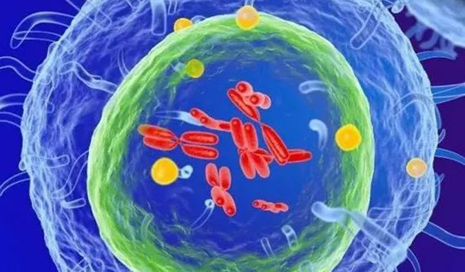 人生就是博官方网站助力 | 信诺维抗肿瘤1类新药XNW14010获批临床