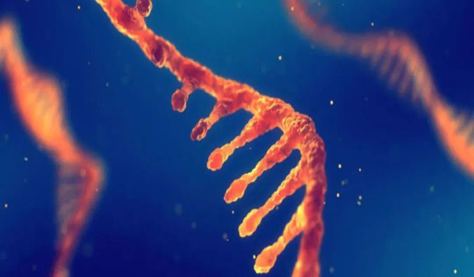 赋能核酸药物疗法，迎接新药研发第三次浪潮