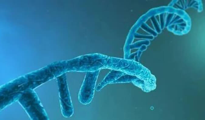 美研丨寡核苷酸药物市场远景、、、开展挑战及应对战略