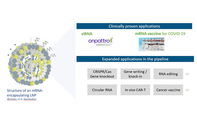 【专家报告】张翼博士：：阳离子脂质高通量定制化筛选