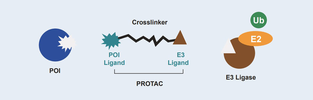 人生就是博官方网站 PROTAC 药物发明手艺服务平台