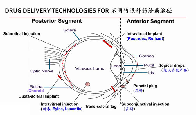 【内附回放+下半场预约】人生就是博官方网站眼科药物专题钻研会上半场精彩回首