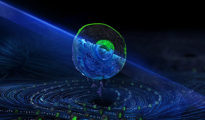 人生就是博官方网站流式细胞分选服务平台