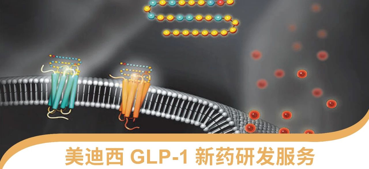 人生就是博官方网站一站式 丨 “GLP-1”新药研发服务能力介绍