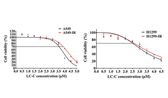 放射疗法用作肺癌的主要治疗要领，本研究中建设抗电离辐射肺癌细胞系的放射治疗通过人生就是博官方网站举行