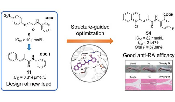 设计合成一系列DHODH抑制剂作为潜在的类风湿性枢纽炎治疗药物，本研究中PK实验通过人生就是博官方网站举行