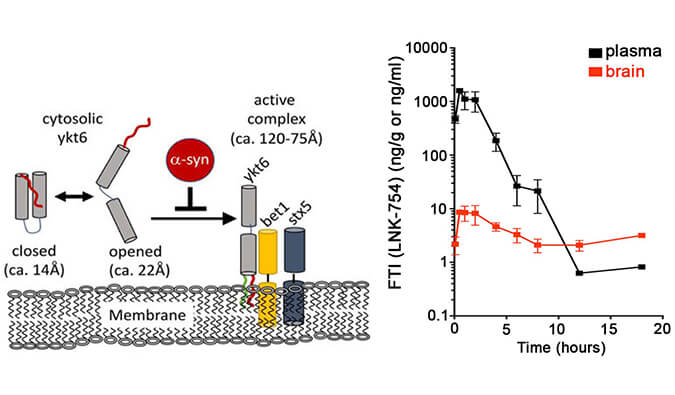 法尼基转移酶抑制剂LNK-754单次口服后即可快速穿过血脑屏障，本研究中PK剖析通过人生就是博官方网站举行