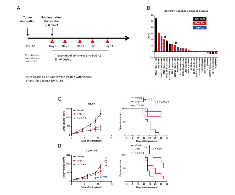 免疫检查点阻断疗法改变了癌症治疗的范式，，此研究中通过人生就是博官方网站在23 个同源肿瘤模子中举行了抗PD-1抗体的体内研究