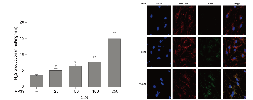AP39是一种新合成的线粒体靶向的H2S供体，，本研究中AP39通过人生就是博官方网站设计和合成