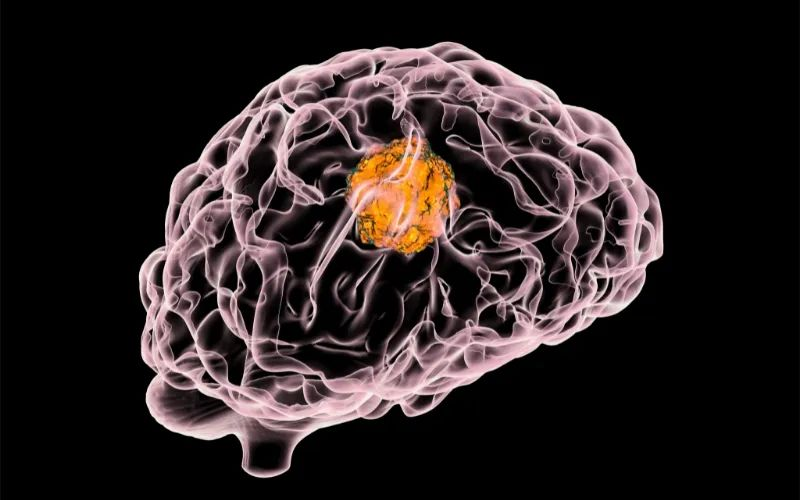 人生就是博官方网站助力 | 璧辰医药ABM-1310获美国FDA孤儿药资格认证，，用于治疗携带BRAF V600突变的脑胶质母细胞瘤患者