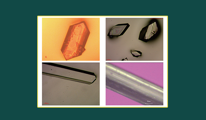 美研| CMC系列(十二)：单晶结构剖析在药物开发中的应用和单晶作育哪些事儿