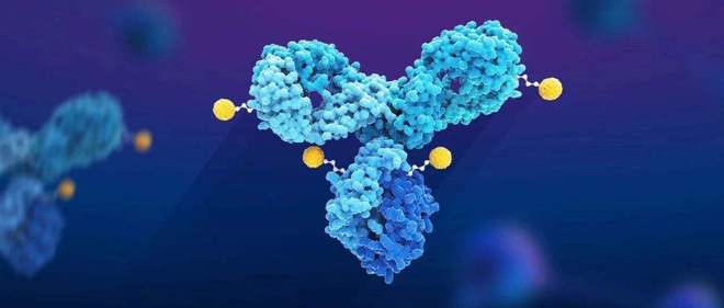天下肿瘤日聚焦：AACR年会引领全球肿瘤新药趋势，国产药引领风潮