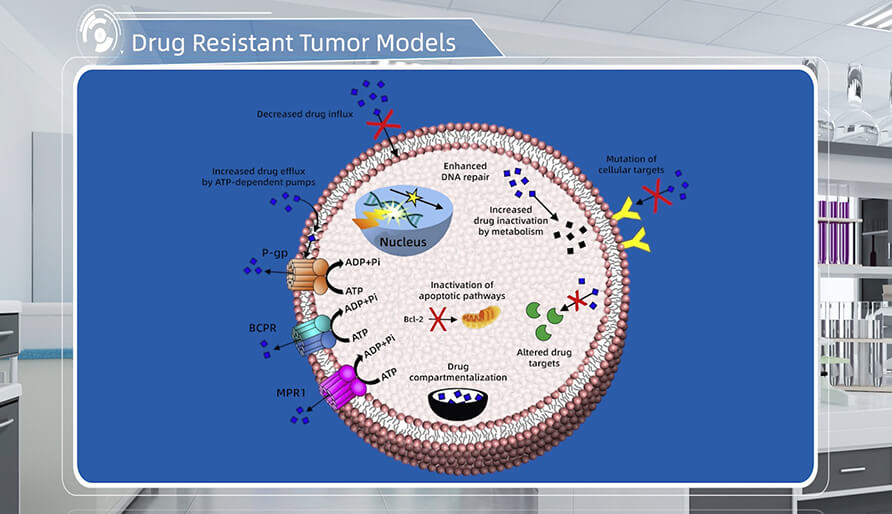 肿瘤耐药机制是什么？