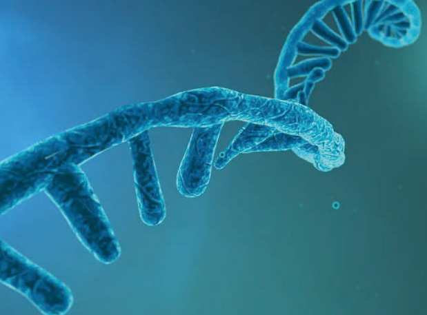 硬“核”新质生产力！陈春麟博士加入中国药学会核酸药物专业委员会成立大会