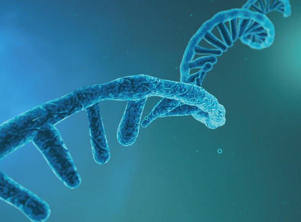 【聚会推荐】第八届天下核酸疫苗大会聚会通知（第一轮）