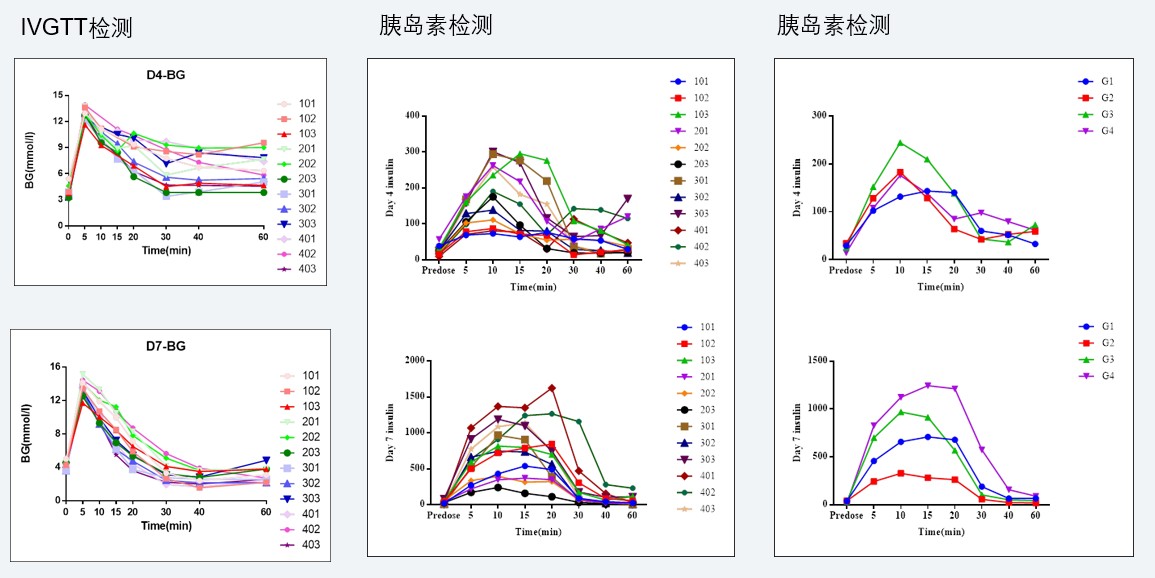 案例4：：：食蟹猴IVGTT和胰岛素检测实验.jpg