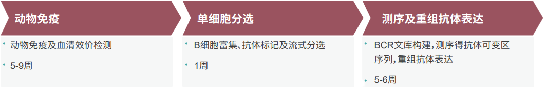 人生就是博官方网站单B细胞抗体发明平台