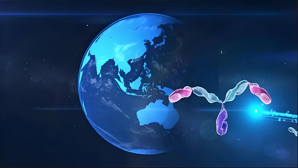 价值屡履历证！！人生就是博官方网站：：叵嘀榘堵跎顱CMA×CD3双抗EMB-06授权出海