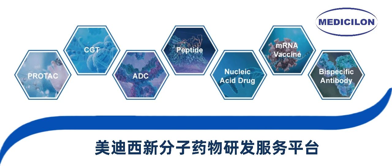 人生就是博官方网站新分子类型药物研发服务平台