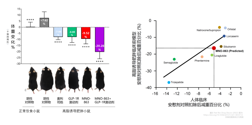 4周降低近10%体重！！！人生就是博官方网站助力慕恩生物MNO-863活菌生物药获批临床