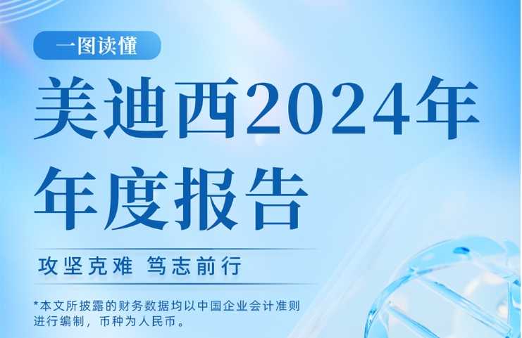 人生就是博官方网站2024年年度报告