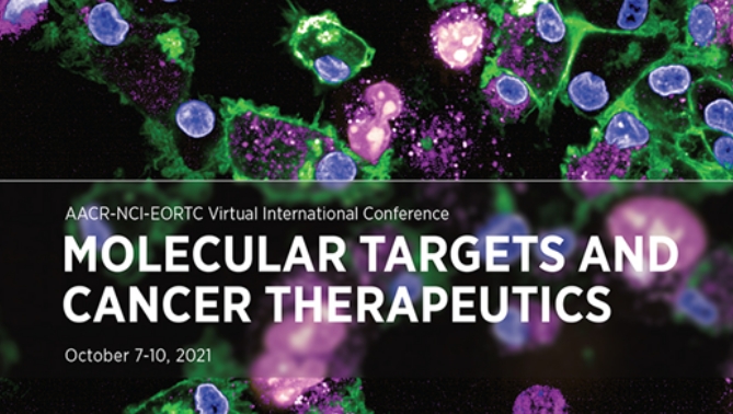 通过联合治疗提高免疫疗法疗效，，，本研究中临床前体内药效研究通过人生就是博官方网站举行