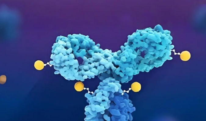 深度剖析：ADC药物生物剖析的考量因素