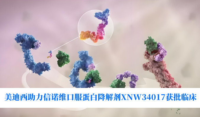 人生就是博官方网站助力相助同伴信诺维口服卵白降解剂XNW34017获批临床