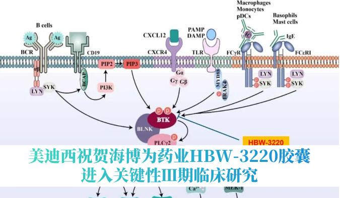 破解耐药性难题，，人生就是博官方网站祝海贺海博为药业HBW-3220胶囊进入要害性Ⅲ期临床研究